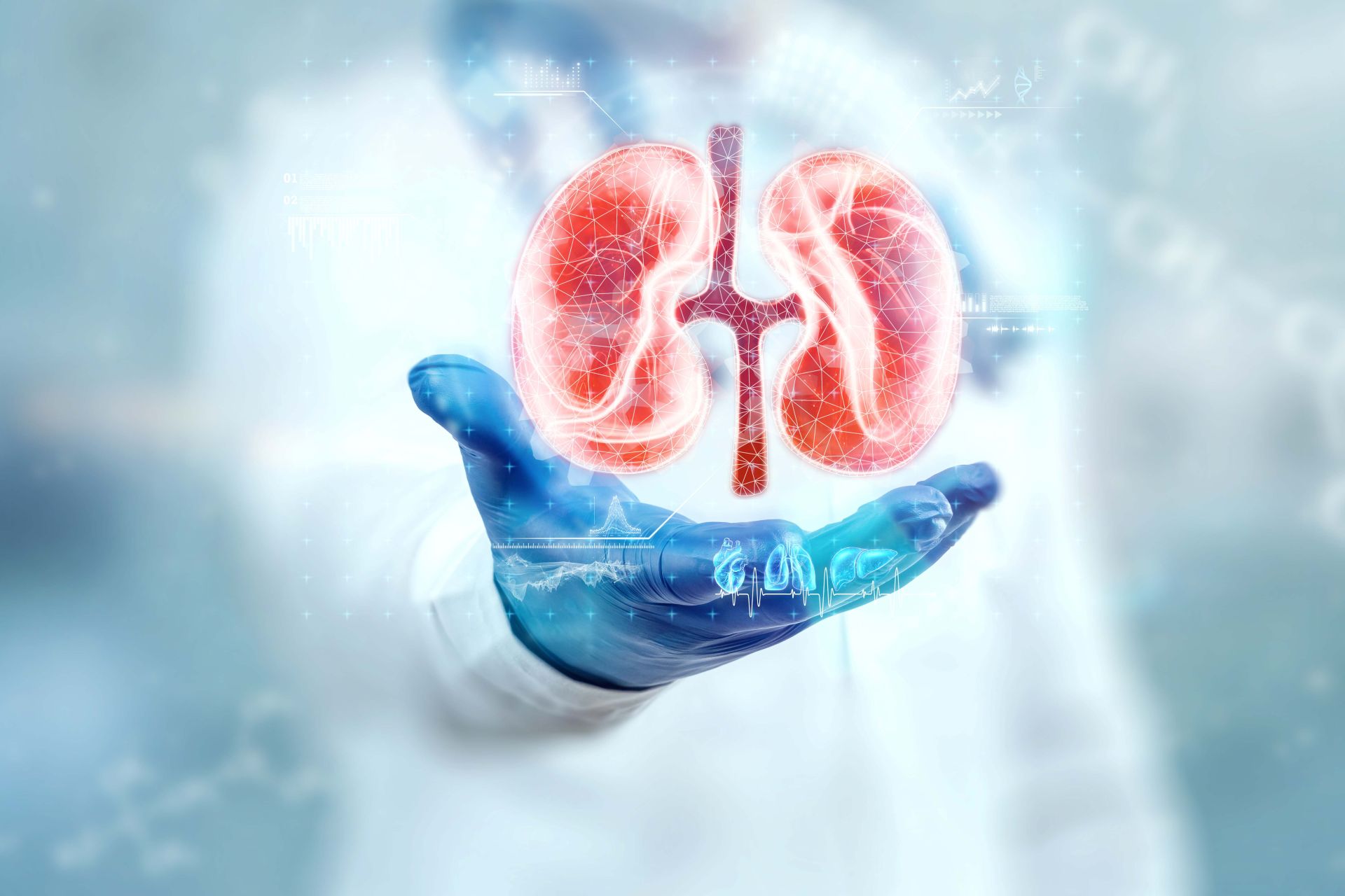 Kidney Care (Nephrology)